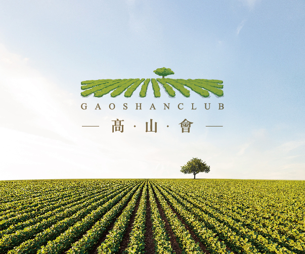 低價高質VI形象設計裝服務_精致品牌形象助力