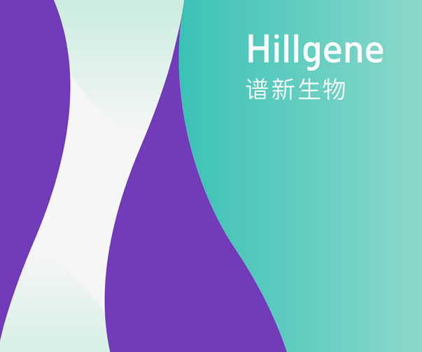 企業vi設計的注意事項_讓品牌更出眾